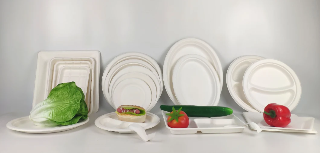 Biodegradable Tableware Dining Room Dinner Non Plastic Plate Disposable Paper Plate