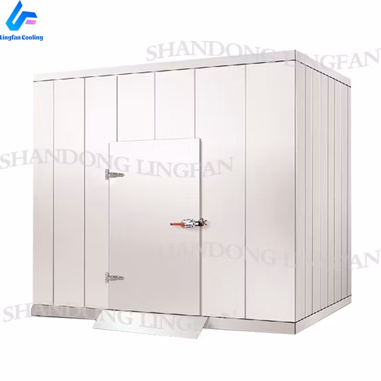 육류 및 생선 산업용 대형 냉동고 식품 저장 냉장실을 위한 중국 가격 냉장실 보관